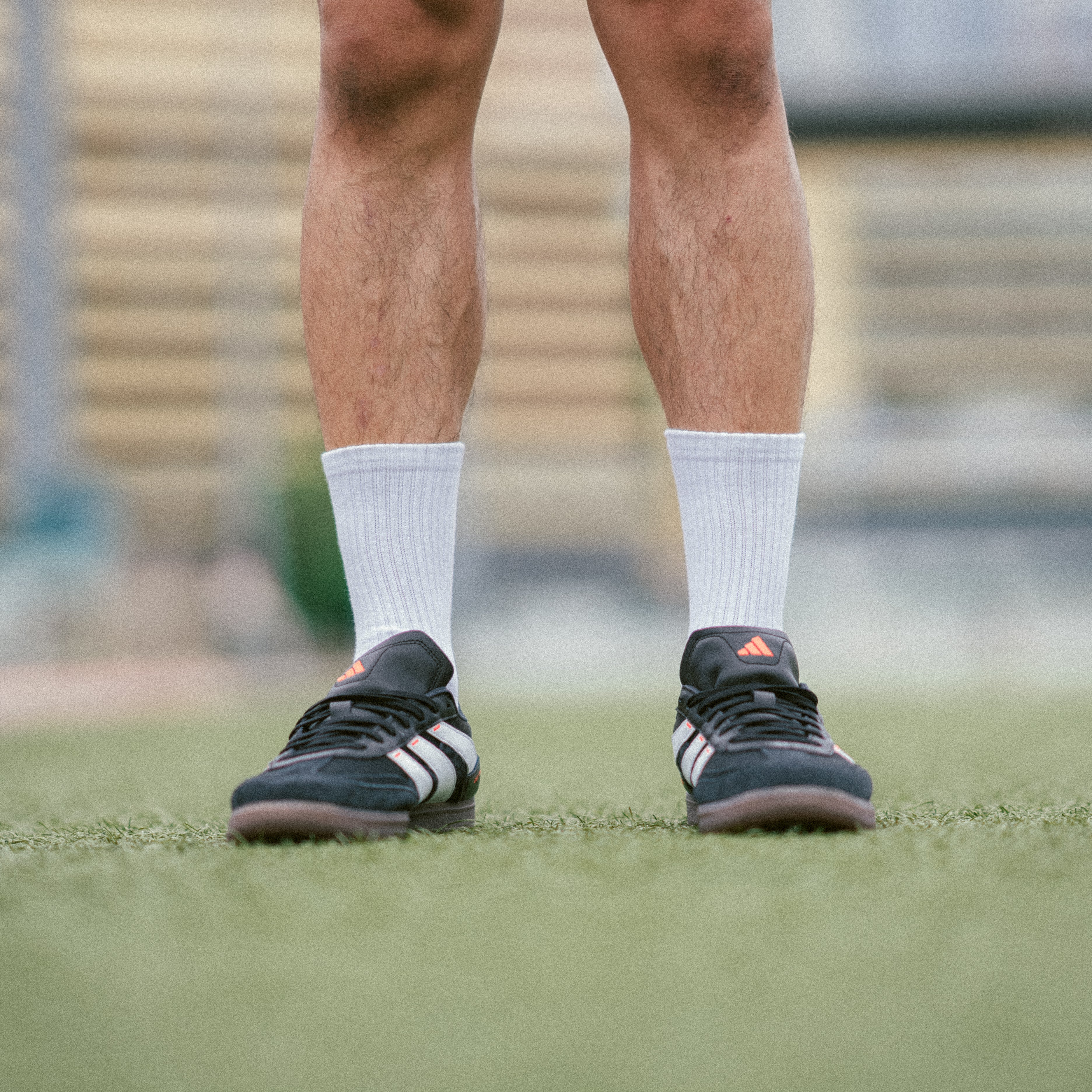 TeamWeGo Crew Socks (3 Pairs)