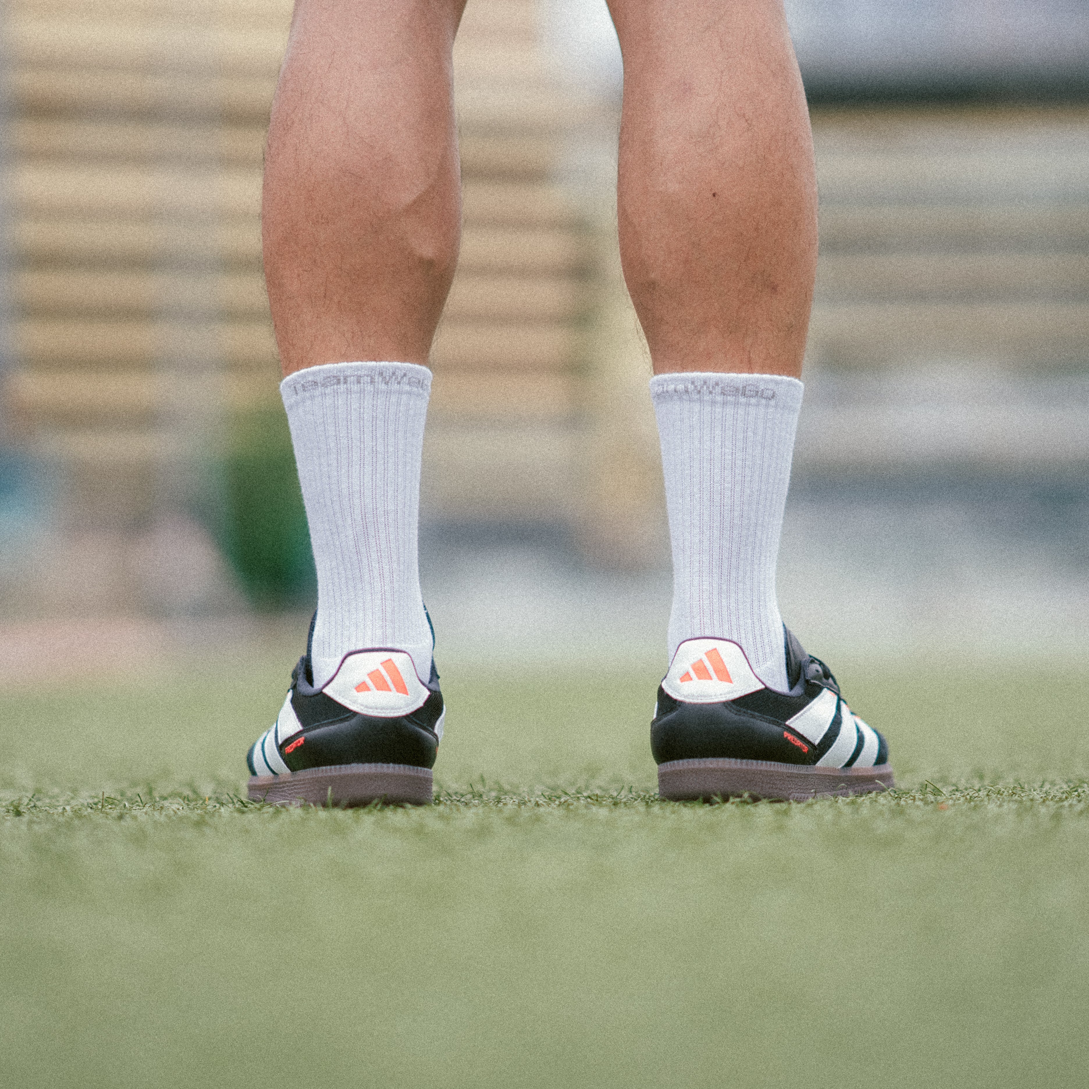 TeamWeGo Crew Socks (3 Pairs)