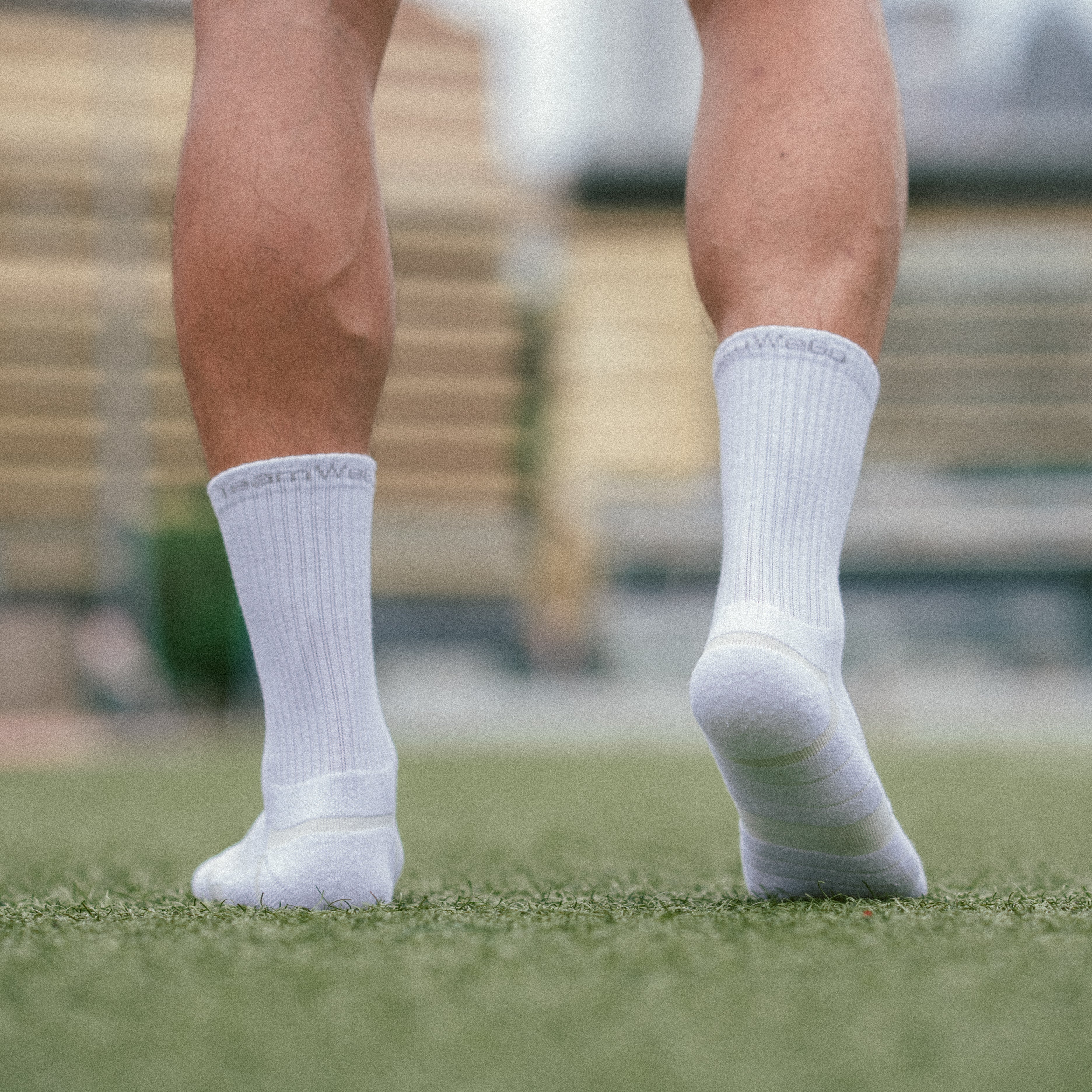 TeamWeGo Crew Socks (3 Pairs)