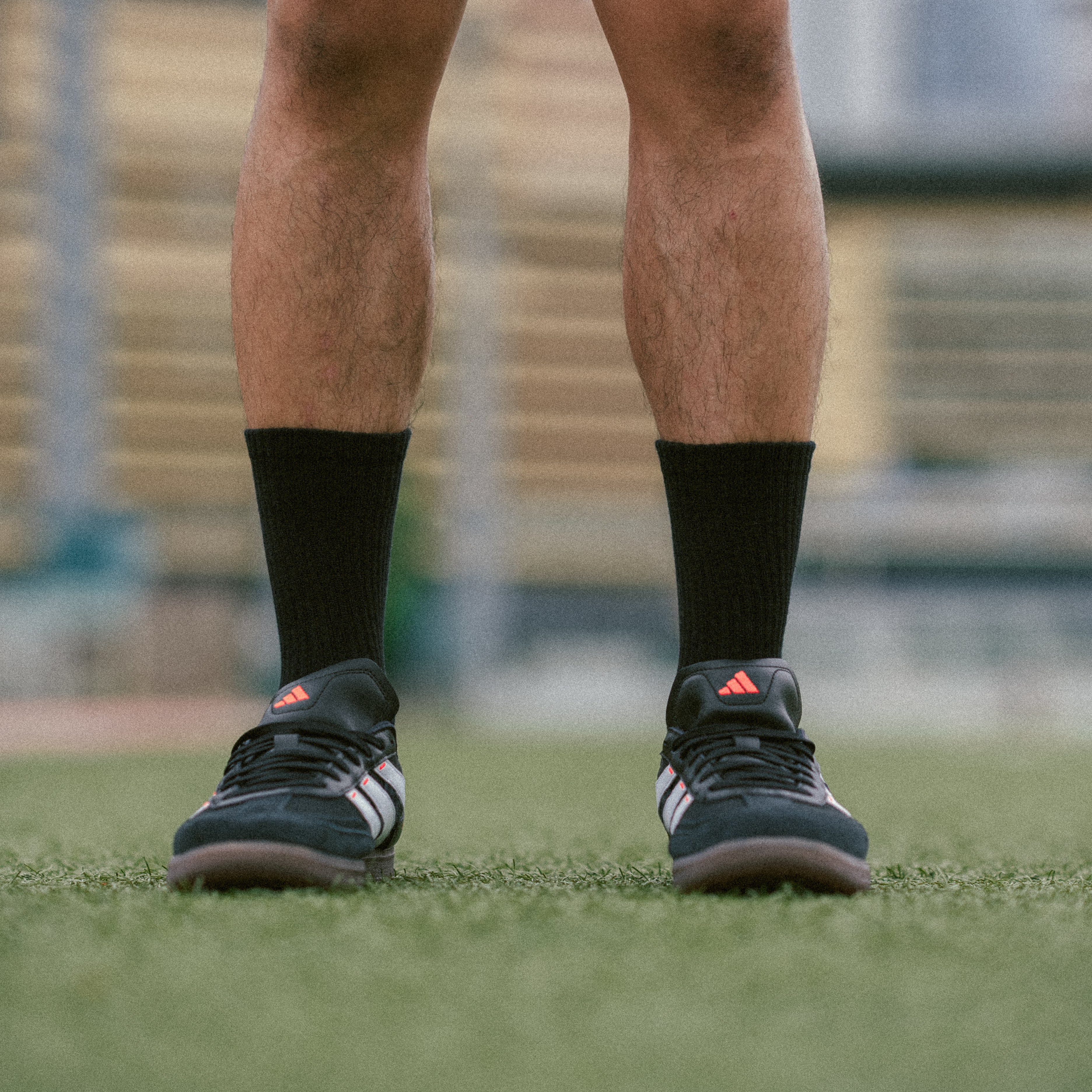 TeamWeGo Crew Socks (3 Pairs)