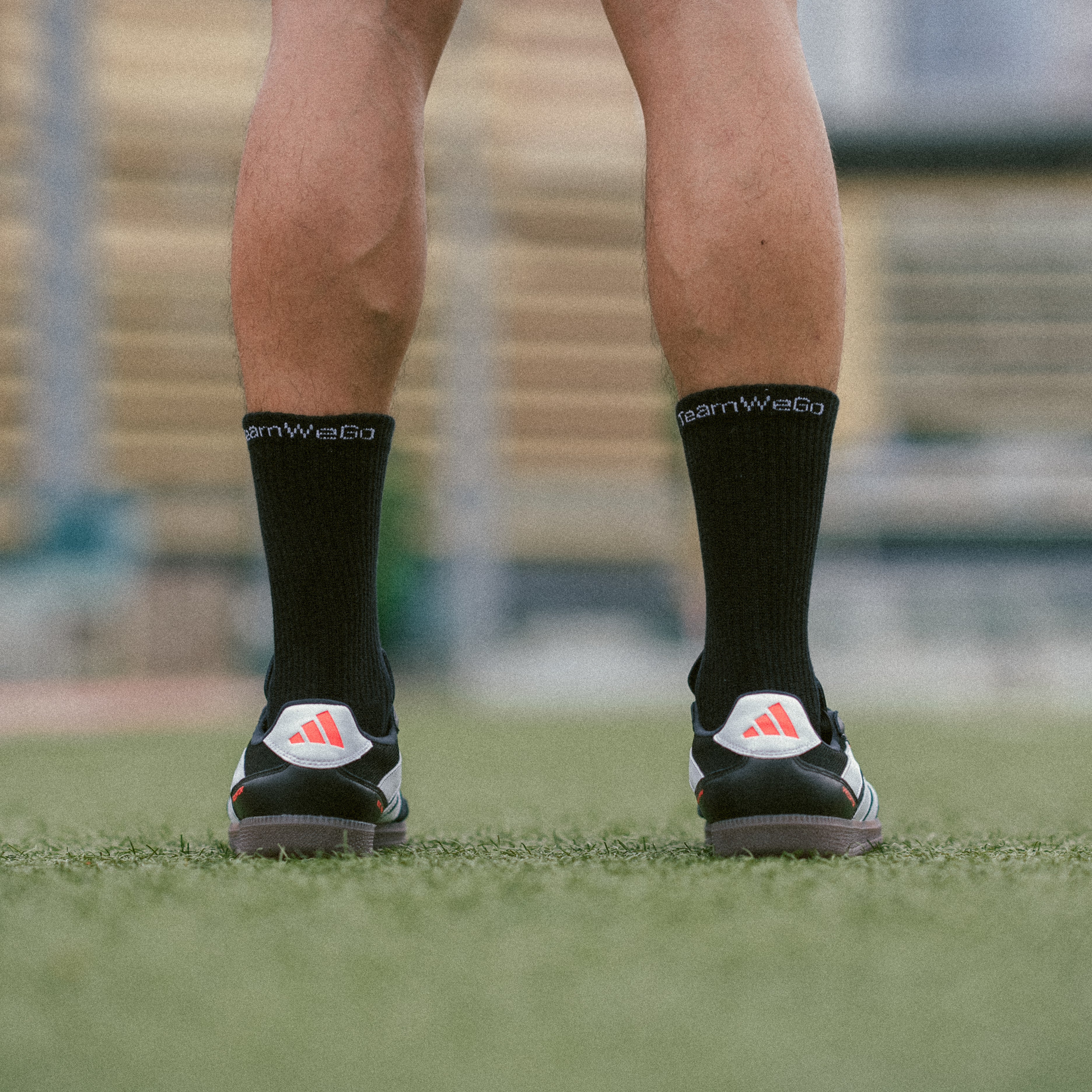 TeamWeGo Crew Socks (3 Pairs)