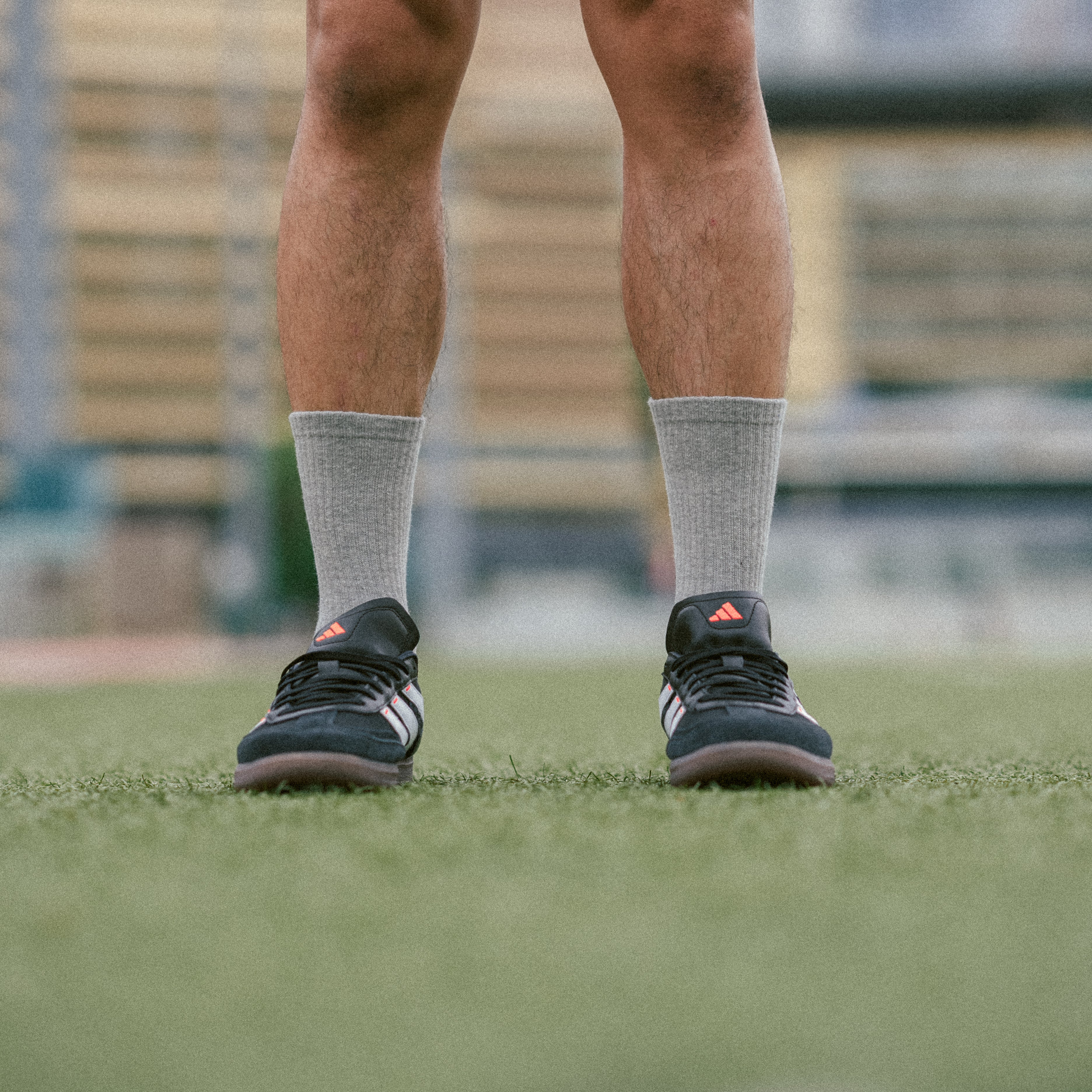 TeamWeGo Crew Socks (3 Pairs)