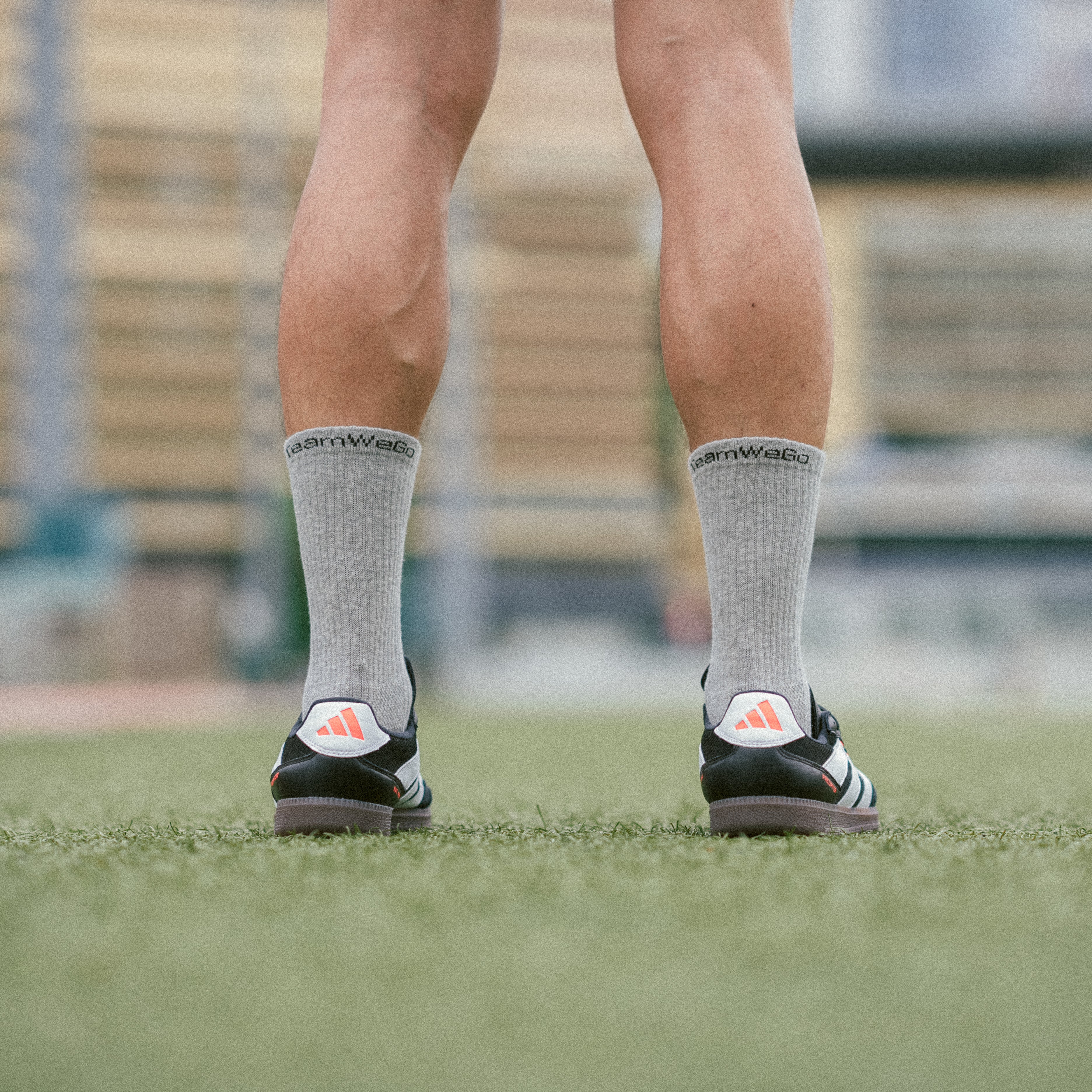 TeamWeGo Crew Socks (3 Pairs)